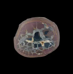 Natural Desert Septaria “Dragon Stone”, 228 gr