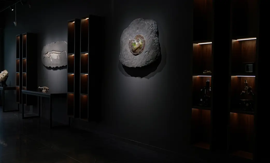 The Artefactum Gallery — unique finds with a rich history.