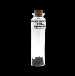 6.728 g Sikhote-Alin meteorite in sealed bottle, Russia
