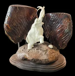 Woolly Mammoth Between Ancient Molars