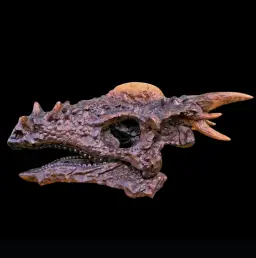 Cast of Stygimoloch skull, 3D printed