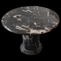 Orthoceras Fossil Marble Table from the Paleozoic Era