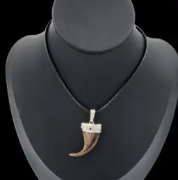 Brown Bear Claw Pendant with Silver Mount – A Powerful Symbol of the Wild