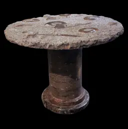 Paleozoic Fossil Marble Table with Orthoceras and Goniatite Cephalopods