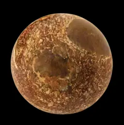 Polished Dinosaur Bone Sphere