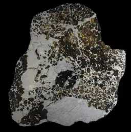 680 g Pallasite meteorite slice showcasing Widmanstätten pattern, 4 bln years old