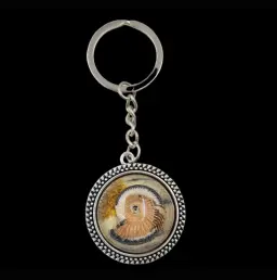 Keychain Featuring a Real Ammonite Fossil