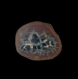 Natural Desert Septaria “Dragon Stone”, 188 gr