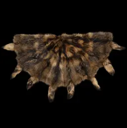 Semicircular racoon fur rug