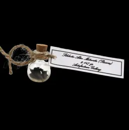 2.147 g Sikhote-Alin meteorite in sealed round bottle, Russia