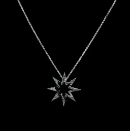 Stellar Beauty: Star-Shaped Muonionalusta Meteorite Necklace