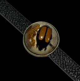 Timeless Strength: Eupatorus gracilicornis Beetle Bracelet in Epoxy Resin on Leather Strap