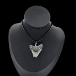 Megalodon Tooth  -Pendant, 9.7gr