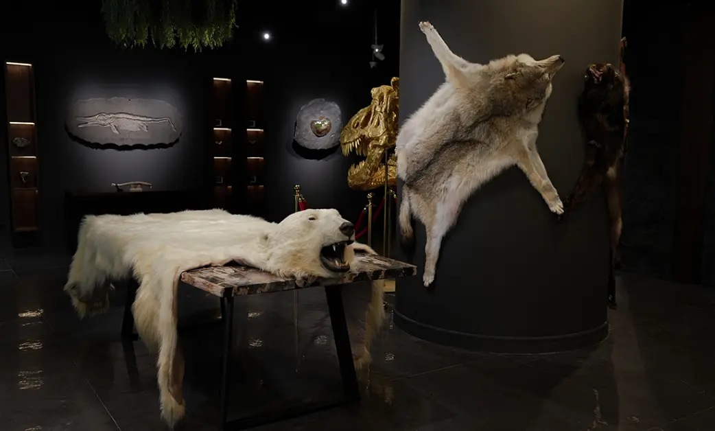 The Artefactum Gallery — unique finds with a rich history.