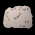 Fossils