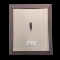 Teutonic Crossbow Bolt Tip (Balga) – A Legacy of the Crusader Knights