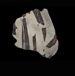 Fossilized Ichthyosaur Bone – Relic of the Marine Reptile from the Jurassic Seas