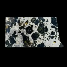 16.57 g Pallasite meteorite slice showcasing Widmanstätten pattern, 4 bln years old