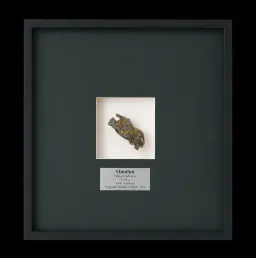 9,178 gr Omolon Pallasite meteorite with Widmanstätten pattern, 4 bln years old