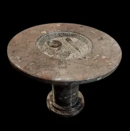 Marble Fossil Table with Orthoceras and Ammonite Cephalopods
