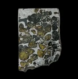 17 g Seymchan meteorite slice with geometric patterning, etched and preserved