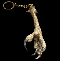 Fierce Elegance: Bird of Prey Paw Keychain – A Unique Touch of the Wild