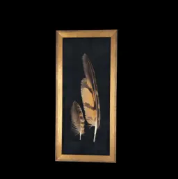 Bubo bubo Eagle Owl Feathers