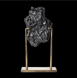 The Sikhote-Alin meteorite