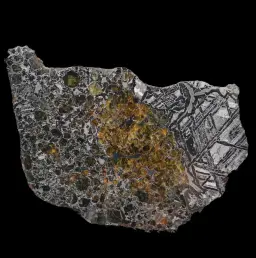 263 克大型橄欖石鐵隕石切片，帶晶體維德曼花紋，40 億年歷史