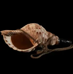 Horagai – The Japanese Shell Trumpet, Echo of Ancient Rituals
