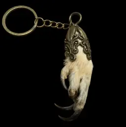 Mystic Guardian: Owl Paw Keychain – An Icon of Wisdom and Wild Beauty