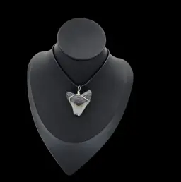 Megalodon Tooth  -Pendant, 9.7gr