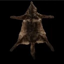 Stuffed brown wolf