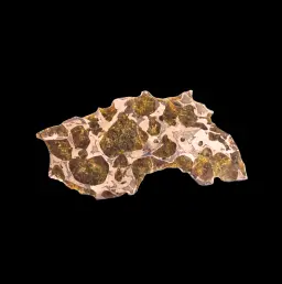 10,998 gr Omolon Pallasite meteorite with Widmanstätten pattern, 4 bln years old