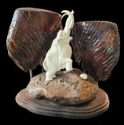Woolly Mammoth Between Ancient Molars