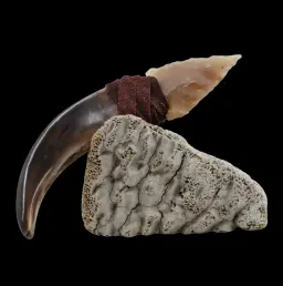 Bear Claw and Quartz Blade on Whale Bone - Tribal Symbol of Power and Craft