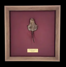 Medieval Iron Arrowhead