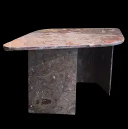 Marble Fossil Table with Orthoceras and Gastropod Fossils