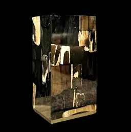 Fossilized Wood Side Table – Ancient Elegance Reimagined