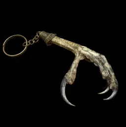 Goshawk Paw Keychain: A Tribute to the Stealthy Woodland Hunter