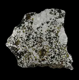 415 g Seymchan meteorite full section, massive metallic specimen with natural edges