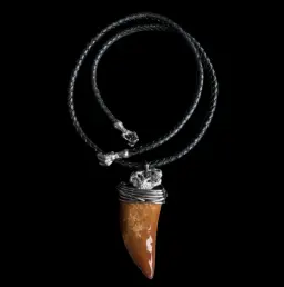 Silver pendant with Carcharodontosaurus tooth (Cretaceous)