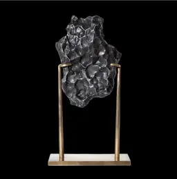 The Sikhote-Alin meteorite