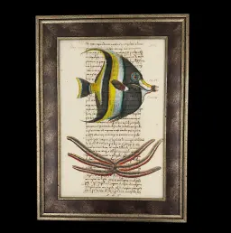 Painting on Ancient Manuscript – Marine Animals