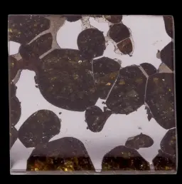 Sericho Meteorite (Pallasite) – A 5-8 g Fragment, Discovered in Eastern Kenya