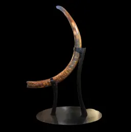 29.8 kg Woolly Mammoth Tusk - Relic of the Ice Age