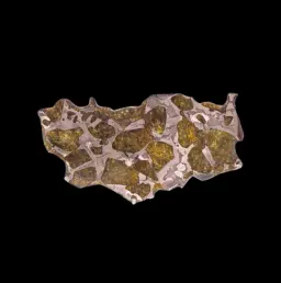 7,48 gr Omolon Pallasite meteorite with Widmanstätten pattern, 4 bln years old