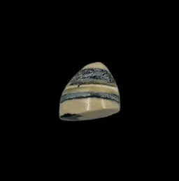 Echo in Miniature – Fossilized Mammoth Tusk Fragment, 2g