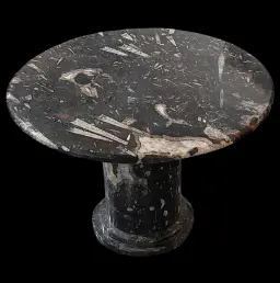 Orthoceras Fossil Marble Table from the Paleozoic Era