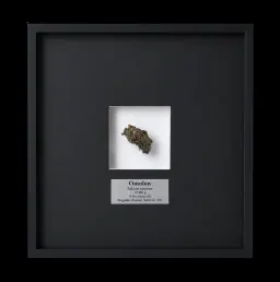 10,998 gr Omolon Pallasite meteorite with Widmanstätten pattern, 4 bln years old